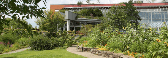 Meisterschule Veitshoechheim Lin Scherer Floristweb
